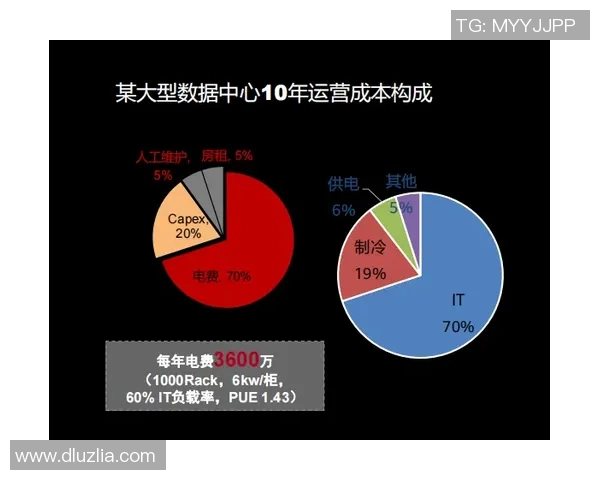 上海滑板队战术表现深度数据分析与策略优化探讨